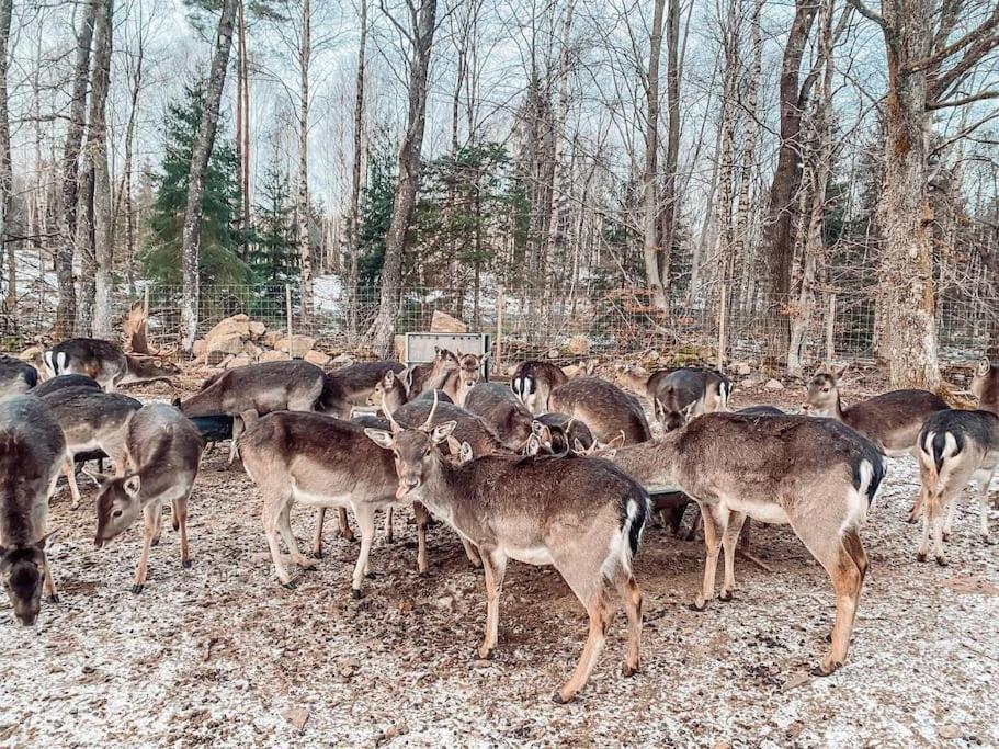 Вилла Damwildfarm In Rollerbue Suedschweden Тюринге Экстерьер фото