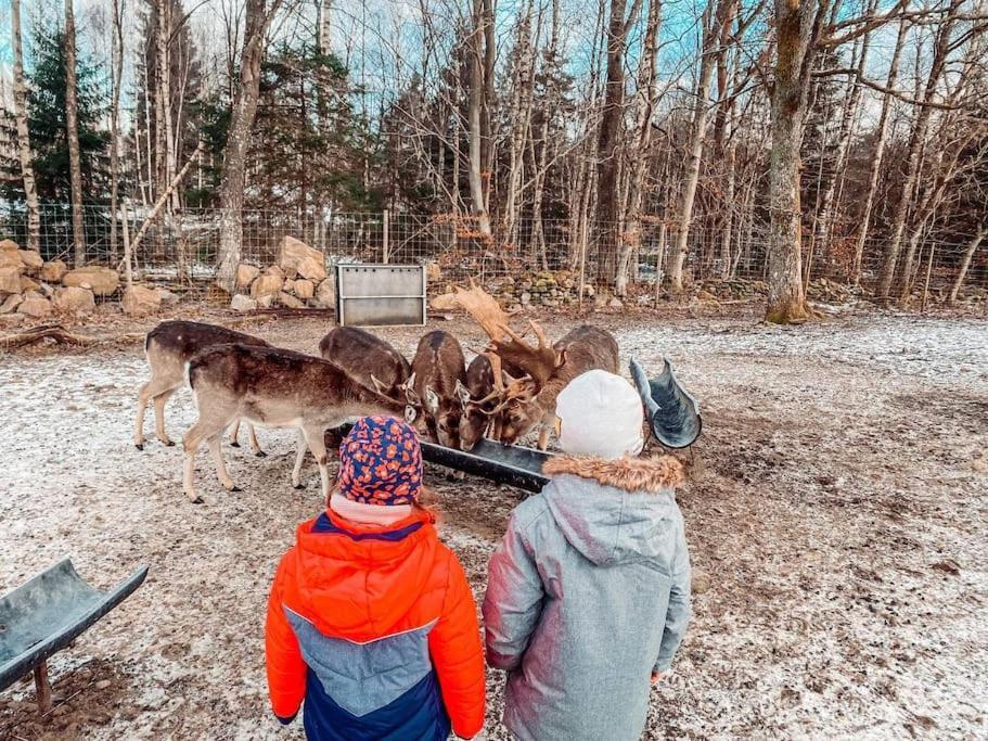 Вилла Damwildfarm In Rollerbue Suedschweden Тюринге Экстерьер фото