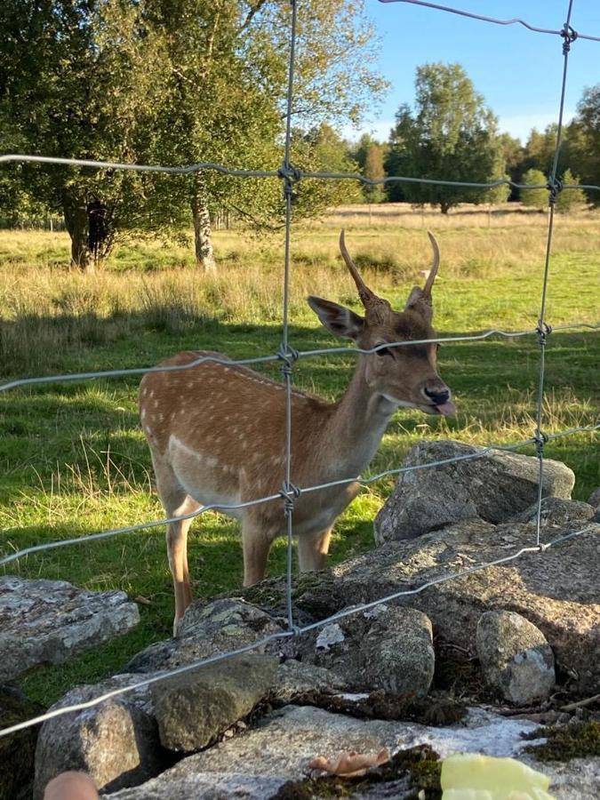 Вилла Damwildfarm In Rollerbue Suedschweden Тюринге Экстерьер фото
