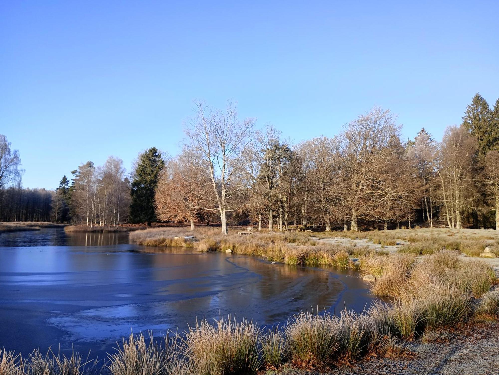 Вилла Damwildfarm In Rollerbue Suedschweden Тюринге Экстерьер фото